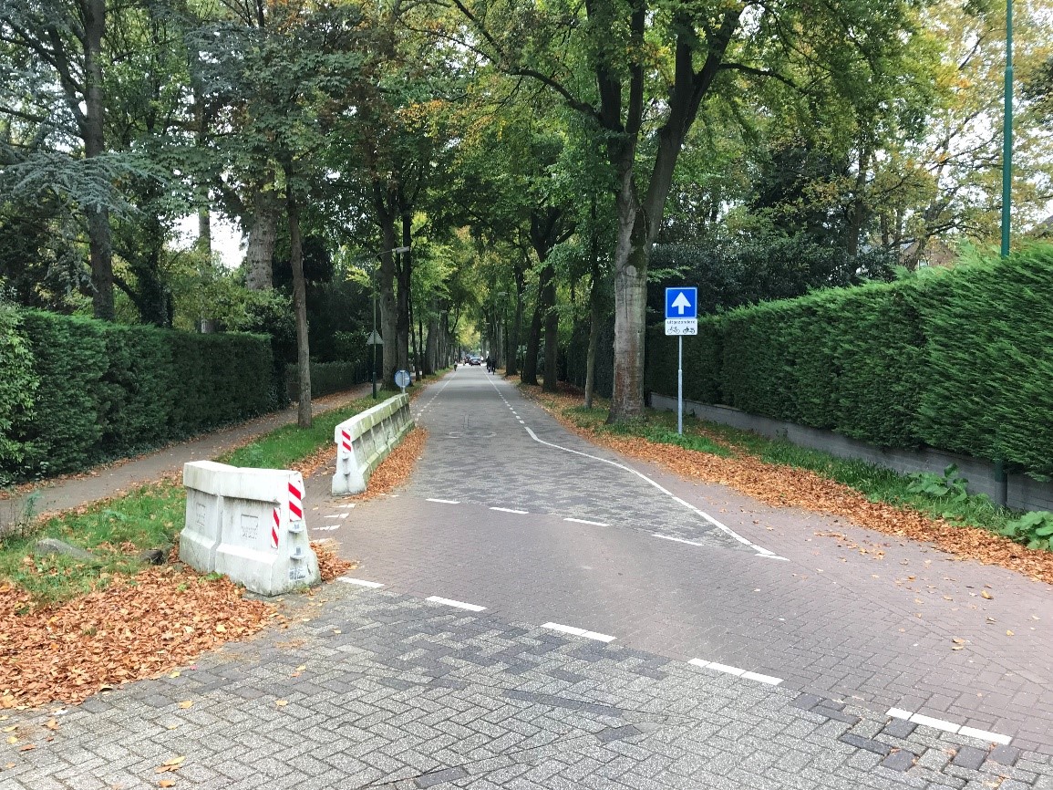 Procesbegeleiding fietsveiligheid Jan Steenlaan in de De Bilt